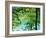 Plitvice Lakes National Park, UNESCO World Heritage Site, Croatia, Europe-Ken Gillham-Framed Photographic Print