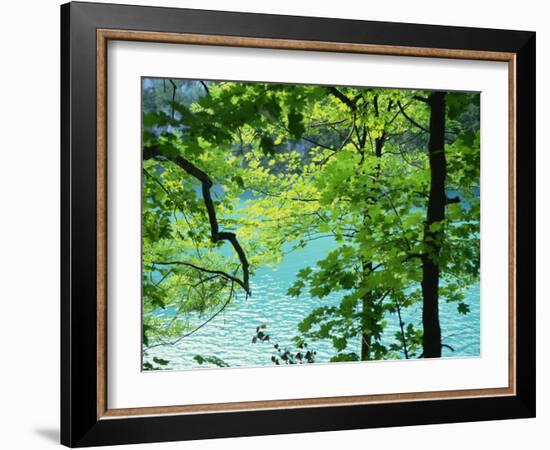 Plitvice Lakes National Park, UNESCO World Heritage Site, Croatia, Europe-Ken Gillham-Framed Photographic Print