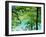 Plitvice Lakes National Park, UNESCO World Heritage Site, Croatia, Europe-Ken Gillham-Framed Photographic Print