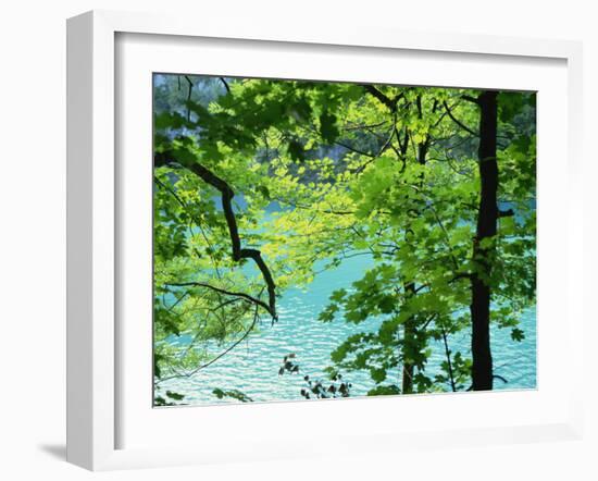 Plitvice Lakes National Park, UNESCO World Heritage Site, Croatia, Europe-Ken Gillham-Framed Photographic Print