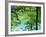 Plitvice Lakes National Park, UNESCO World Heritage Site, Croatia, Europe-Ken Gillham-Framed Photographic Print