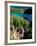 Plitvice Lakes National Park, UNESCO World Heritage Site, Croatia, Europe-Carlo Morucchio-Framed Photographic Print