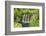 Plitvice Lakes National Park, UNESCO World Heritage Site, Croatia, Europe-Gary Cook-Framed Photographic Print