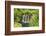 Plitvice Lakes National Park, UNESCO World Heritage Site, Croatia, Europe-Gary Cook-Framed Photographic Print