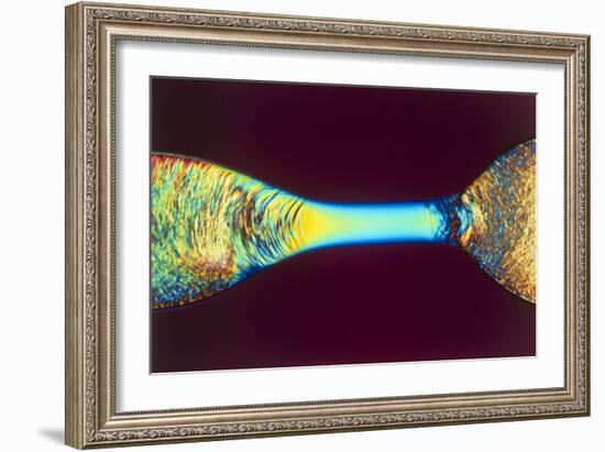 PLM of Two Synthetic Liquid Crystal Polymer Fibres-Science Photo Library-Framed Photographic Print