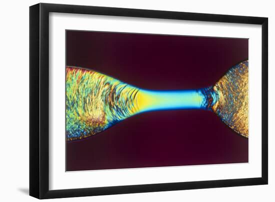 PLM of Two Synthetic Liquid Crystal Polymer Fibres-Science Photo Library-Framed Photographic Print