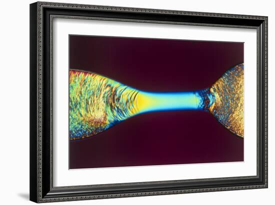 PLM of Two Synthetic Liquid Crystal Polymer Fibres-Science Photo Library-Framed Photographic Print
