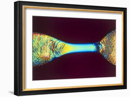 PLM of Two Synthetic Liquid Crystal Polymer Fibres-Science Photo Library-Framed Photographic Print