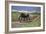 Ploughing, 1887-90-Giovanni Segantini-Framed Giclee Print