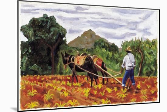 Ploughing, 1995-Pedro Diego Alvarado-Mounted Giclee Print