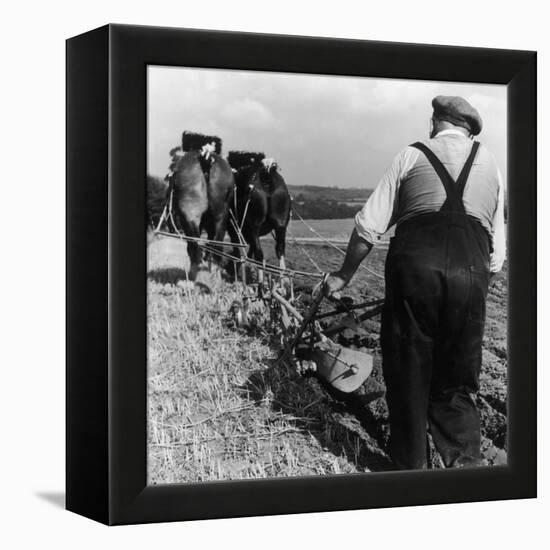 Ploughing Contest 1950s-Henry Grant-Framed Premier Image Canvas