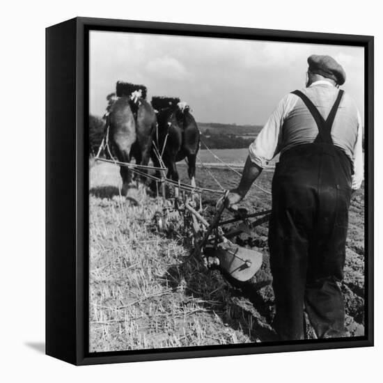 Ploughing Contest 1950s-Henry Grant-Framed Premier Image Canvas