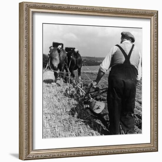 Ploughing Contest 1950s-Henry Grant-Framed Photographic Print