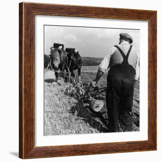 Ploughing Contest 1950s-Henry Grant-Framed Photographic Print