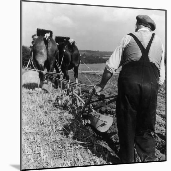 Ploughing Contest 1950s-Henry Grant-Mounted Photographic Print