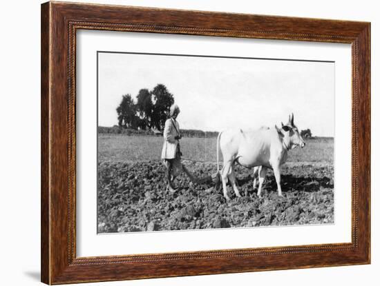 Ploughing in India, 1917-null-Framed Giclee Print