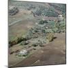 Ploughing in Sicily. Artist: Unknown-Unknown-Mounted Photographic Print