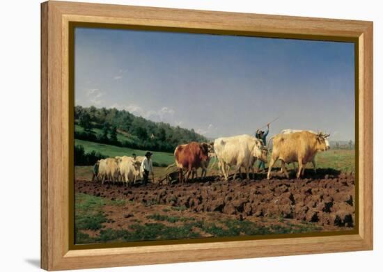 Ploughing in the Region of Nevers: Clearance-Rosa Bonheur-Framed Stretched Canvas