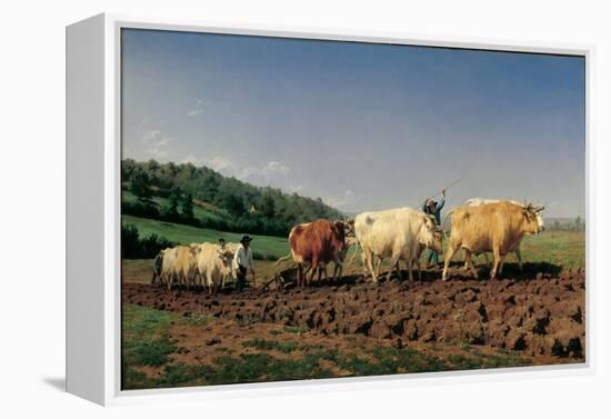 Ploughing in the Region of Nevers: Clearance-Rosa Bonheur-Framed Stretched Canvas