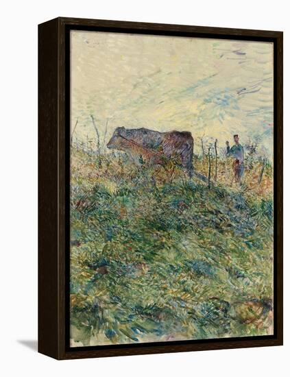 Ploughing in the Vineyard, 1883-Henri de Toulouse-Lautrec-Framed Premier Image Canvas