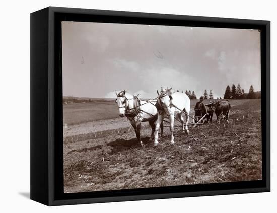 Ploughing on the Property of Alton Brooks Parker, Esopus Creek, New York, 1904-Byron Company-Framed Premier Image Canvas