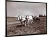 Ploughing on the Property of Alton Brooks Parker, Esopus Creek, New York, 1904-Byron Company-Mounted Giclee Print