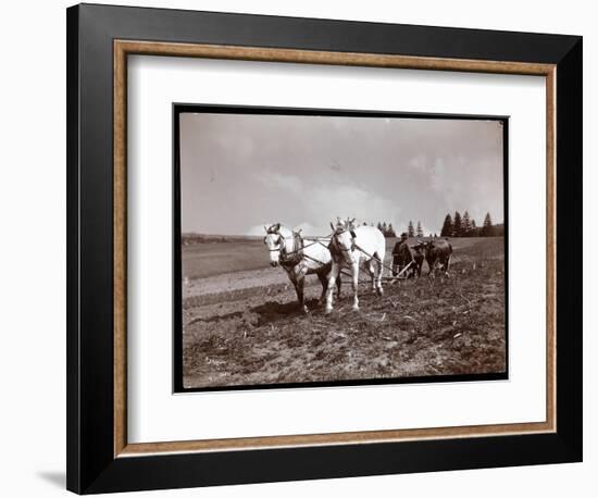 Ploughing on the Property of Alton Brooks Parker, Esopus Creek, New York, 1904-Byron Company-Framed Giclee Print