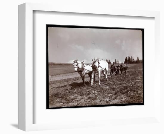 Ploughing on the Property of Alton Brooks Parker, Esopus Creek, New York, 1904-Byron Company-Framed Giclee Print