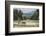 Ploughing Rice Paddy Fields with Water Buffalo Near Bukittinggi, West Sumatra, Indonesia-Matthew Williams-Ellis-Framed Photographic Print