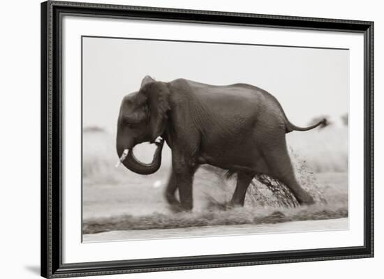 Ploughing Through-null-Framed Giclee Print