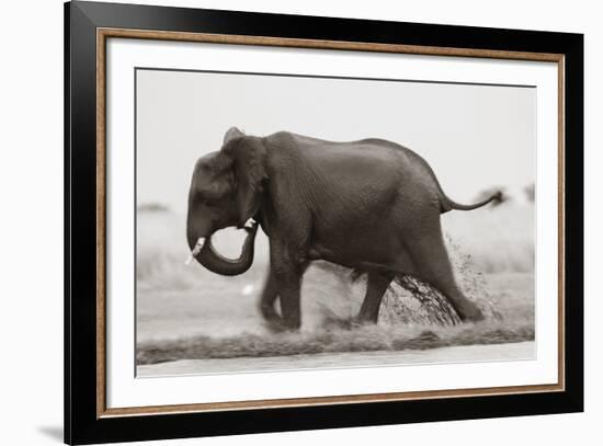 Ploughing Through-null-Framed Giclee Print