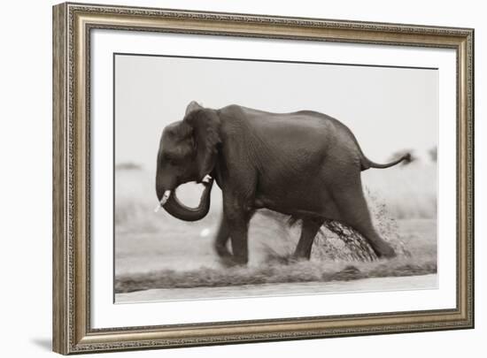 Ploughing Through-null-Framed Giclee Print