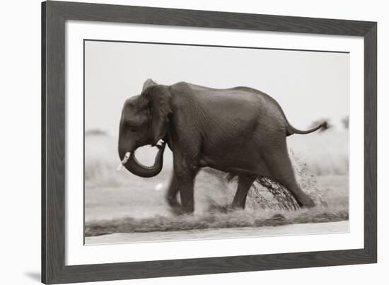 Ploughing Through-null-Framed Giclee Print