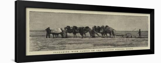 Ploughing with Camels on the Kirghese Steppes, Russia-null-Framed Giclee Print