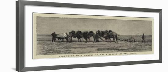 Ploughing with Camels on the Kirghese Steppes, Russia-null-Framed Giclee Print