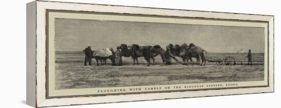 Ploughing with Camels on the Kirghese Steppes, Russia-null-Framed Premier Image Canvas