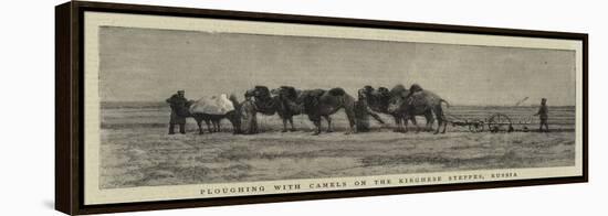 Ploughing with Camels on the Kirghese Steppes, Russia-null-Framed Premier Image Canvas