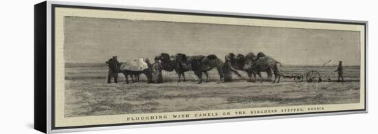 Ploughing with Camels on the Kirghese Steppes, Russia-null-Framed Premier Image Canvas