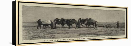 Ploughing with Camels on the Kirghese Steppes, Russia-null-Framed Premier Image Canvas