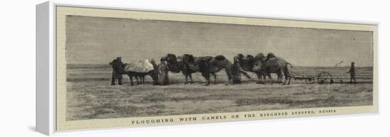 Ploughing with Camels on the Kirghese Steppes, Russia-null-Framed Premier Image Canvas