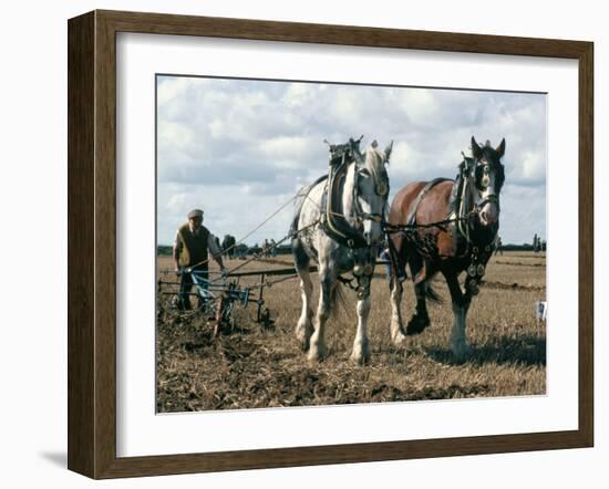 Ploughing with Shire Horses, Derbyshire, England, United Kingdom-Michael Short-Framed Photographic Print