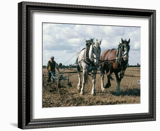 Ploughing with Shire Horses, Derbyshire, England, United Kingdom-Michael Short-Framed Photographic Print