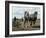 Ploughing with Shire Horses, Derbyshire, England, United Kingdom-Michael Short-Framed Photographic Print