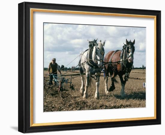 Ploughing with Shire Horses, Derbyshire, England, United Kingdom-Michael Short-Framed Photographic Print