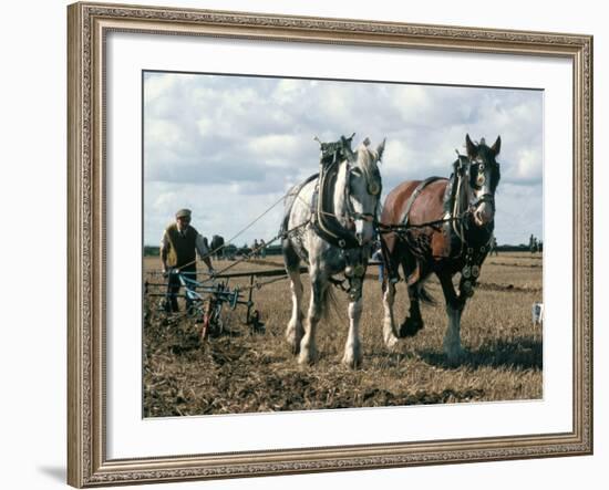 Ploughing with Shire Horses, Derbyshire, England, United Kingdom-Michael Short-Framed Photographic Print