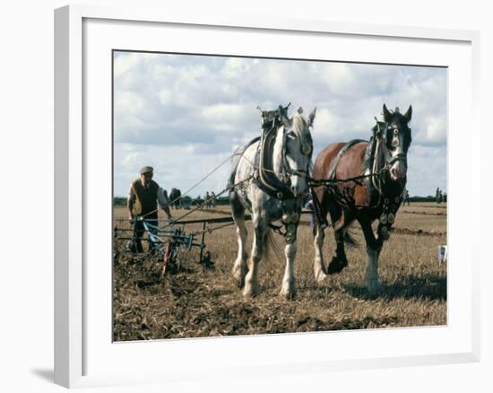 Ploughing with Shire Horses, Derbyshire, England, United Kingdom-Michael Short-Framed Photographic Print