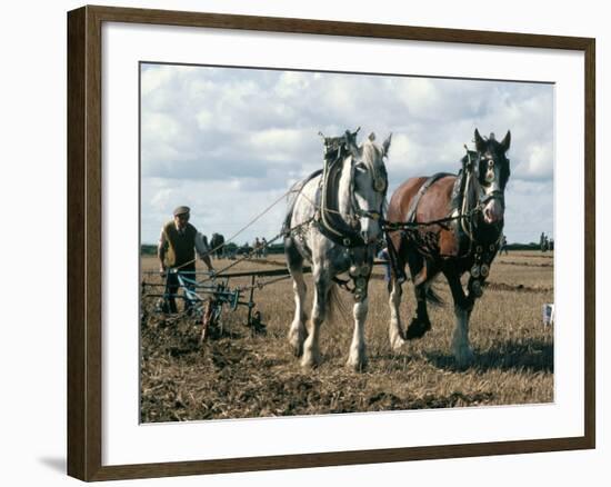 Ploughing with Shire Horses, Derbyshire, England, United Kingdom-Michael Short-Framed Photographic Print