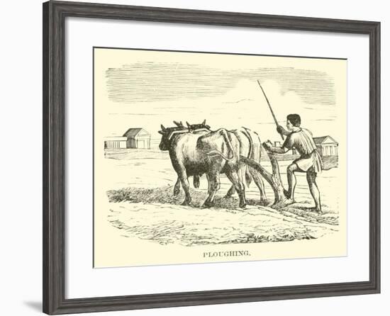 Ploughing-null-Framed Giclee Print