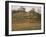 Ploughland, 1874-Camille Pissarro-Framed Giclee Print