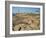 Ploumanach, on the Cote De Granit Rose, on the Cotes D'Amor, Brittany, France-David Hughes-Framed Photographic Print